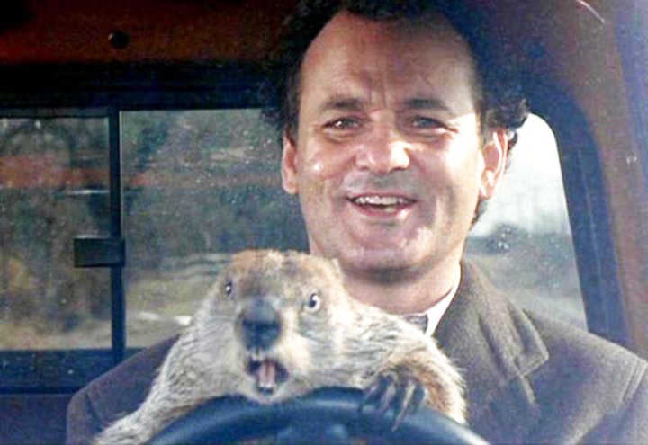 bill-murray-groundhog-day